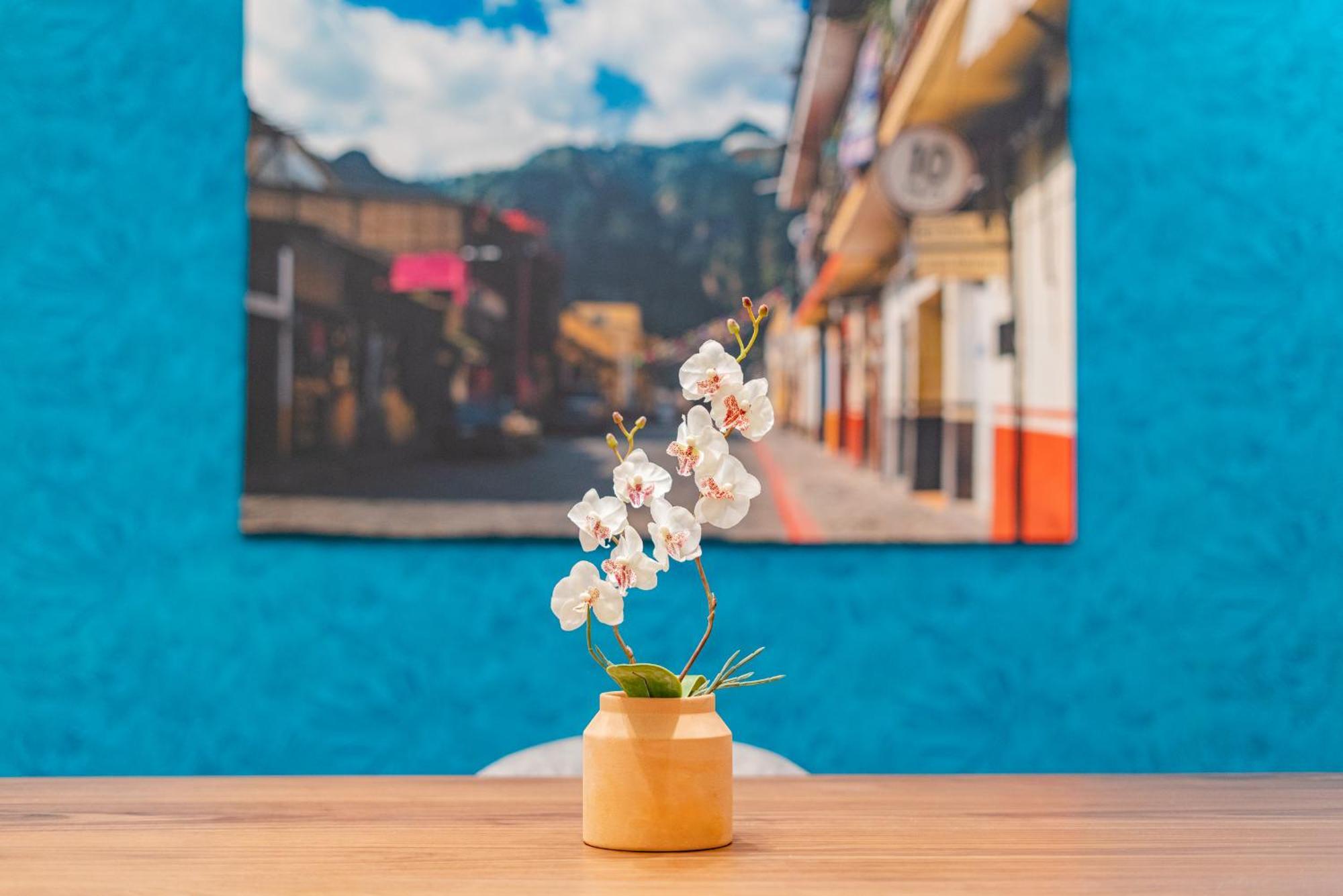 Hipodromo Condesa Apartments By Vh Mexico City Phòng bức ảnh